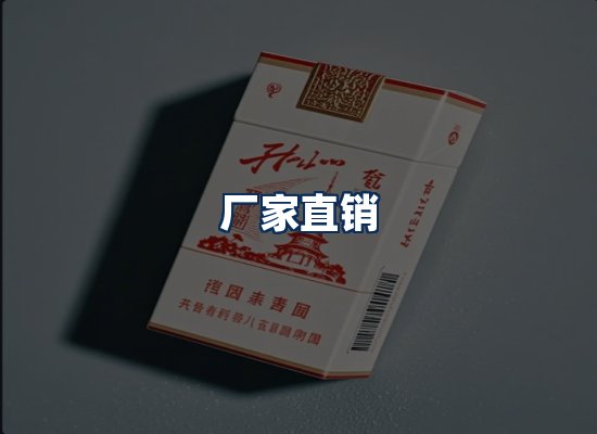 专业团队办公环境
